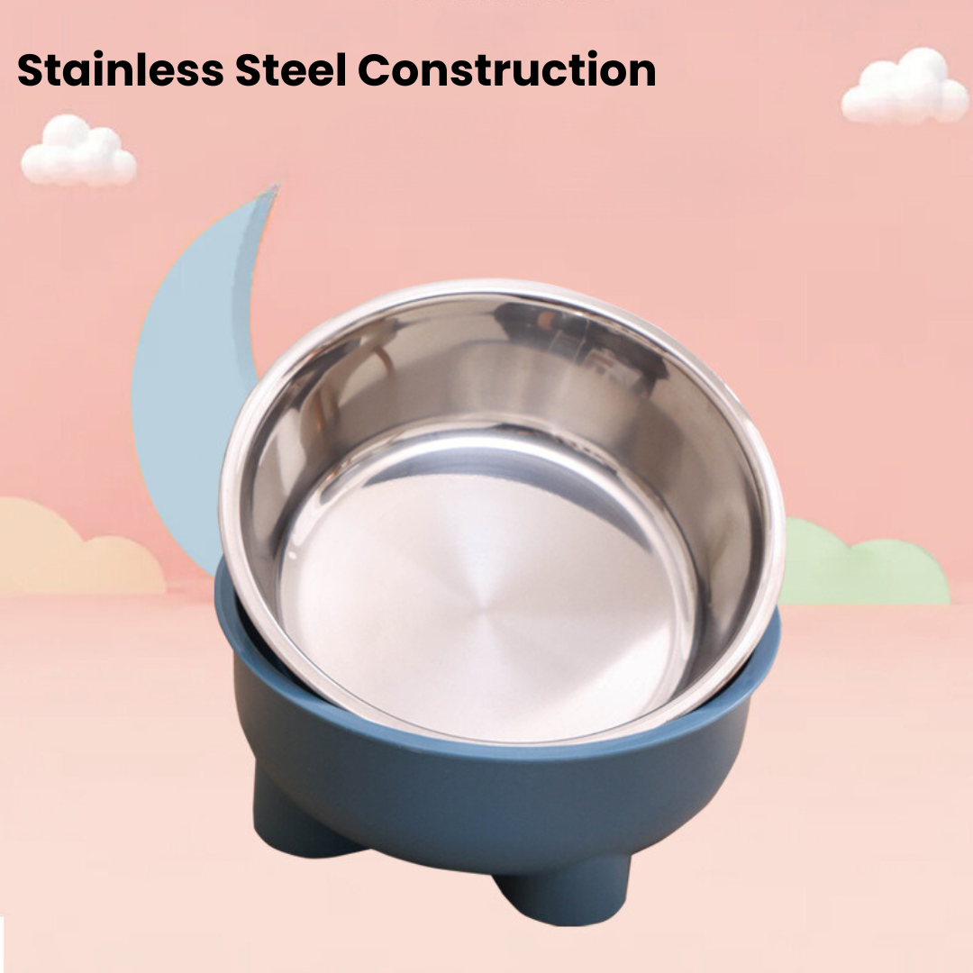 Stainless Steel Dog Bowl-Blue