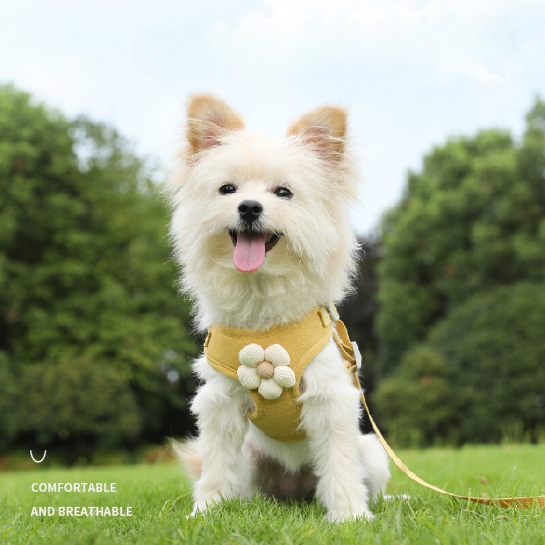 Flower Dog Harness-Green