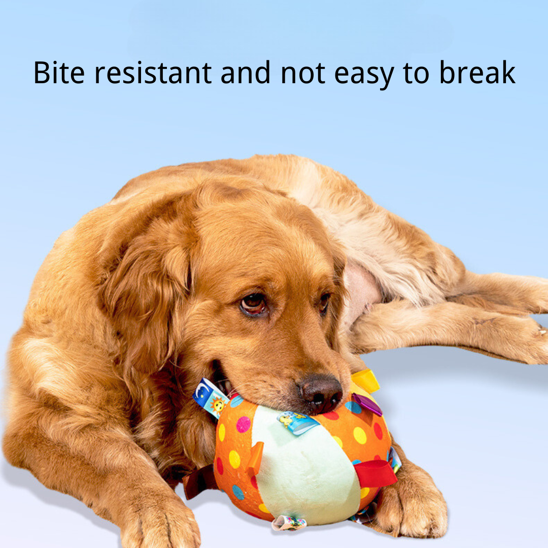 Bite Resistant Dog Toy-Green